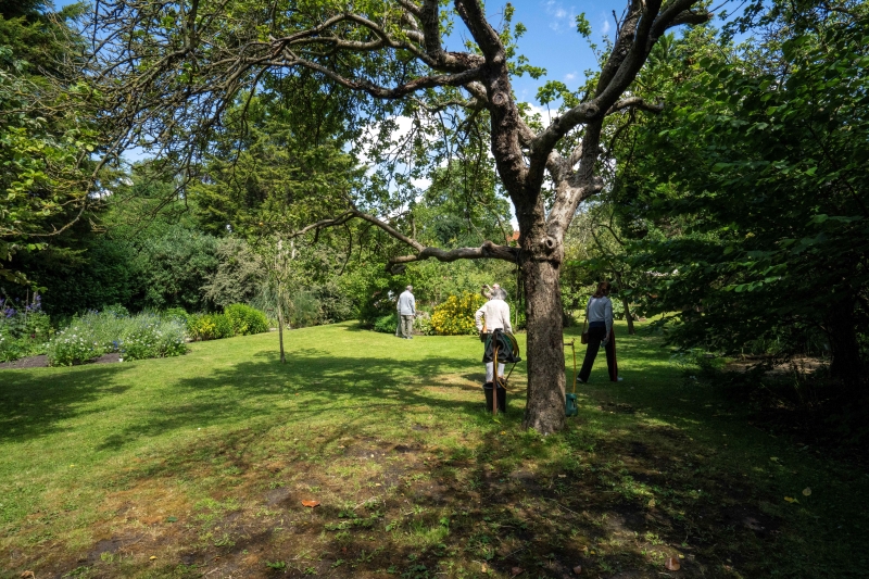 The Minster Secret Garden